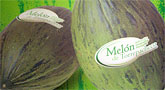 Cerdá: “La marca de calidad del melón de Torre Pacheco llevará el nombre de Murcia a todos los paladares de Europa”