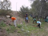Una veintena de voluntarios ambientales participan en la plantación de árboles autóctonos de ribera en el paraje del Soto de Los Álamos, a orillas del Río Segura