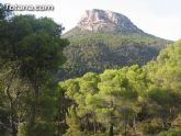 El 80 por ciento  de los murcianos considera Sierra Espuña la zona forestal más valiosa de la Región