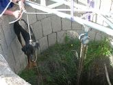 El CATAD rescata dos perros con vida de un pozo minero en El Gorguel
