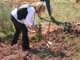 La Fundación +árboles busca cómplices en Murcia