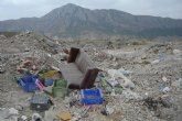 Ecologistas en Acción denuncia un vertedero ilegal en LIC y ZEPA de la sierra de Ricote
