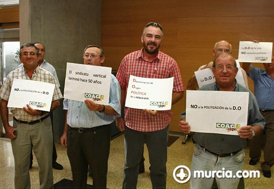 El Consejo Regulador de la Denominacin de Origen Protegida Uvas de Espuña avalar las garantas de calidad de este distintivo - 7