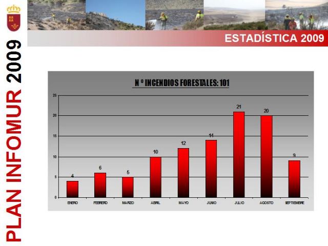 Nueve de cada diez incendios registrados este año en la Regin se quedaron en conato - 2