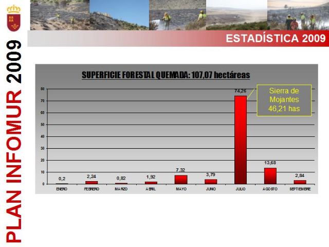 Nueve de cada diez incendios registrados este año en la Regin se quedaron en conato - 3
