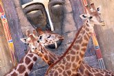 Terra Natura realiza un estudio genético a las jirafas para conseguir su reproducción en cautividad