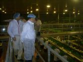 Fuentes Zorita visita una empresa agroindustrial en Dolores de Pacheco (Torre Pacheco)