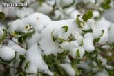 Murcia está en alerta a causa de la nieve, que afecta a casi todo el país