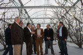 Cerdá  destaca que “el precio de la cereza fuera de estación ha impulsado la producción de este cultivo en invernadero en la Región”