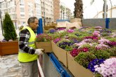 Más de 9.000 flores adornan los jardines del casco para Semana Santa