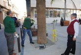La concejalía de Parques y Jardines prueba un nuevo sistema contra el picudo en palmeras