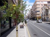 La Avenida Juan Calos I cuenta con nuevo arbolado ornamental