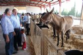 Inaugurada la tradicional Feria de Ganado Equino de Puerto Lumbreras