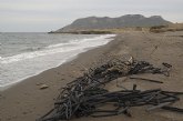 A.V.A. organiza una jornada de limpieza de las playas de Águilas