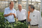 Cerdá destaca la colaboración directa entre agricultores y la Administración regional para buscar soluciones a los problemas del sector