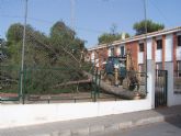 El PP vuelve a coger la motosierra y tala los árboles del patio de la escuela infantil de Almendricos 