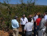 El delegado del Gobierno en Murcia se reúne con el alcalde de Jumilla para evaluar los daños en los cultivos