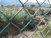 La UE cofinancia la recuperación  ambiental de la Rambla de Canteras para integrarla en el trazado urbano de la pedanía cartagenera