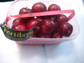El Grupo Hortiberia cree que la campaña de fruta de hueso viene avalada por unas buenas calidades