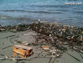 La concejalía de Medio Ambiente colabora con la II Limpieza de playas, rocas y fondos marinos en La Manga
