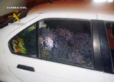 La Guardia Civil detiene a 3 personas que habían sustraído más de media tonelada de uva en Cieza