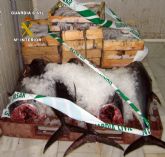 La Guardia Civil decomisa más de 200 kilos de atún rojo y pulpo