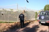 La Polícía Local y Guardia Civil mantienen desde septiembre las actuaciones de vigilancia para evitar los robos en los parrales de uva de mesa