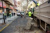 Infraestructuras retira dos árboles de la esquina de Reina Victoria con Ãngel Bruna
