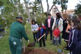 Escolares del municipio ayudan a repoblar la plaza del ayuntamiento con pinos carrasco