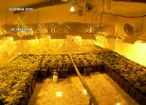 La Guardia Civil desmantela un invernadero subterráneo de marihuana en Sangonera la Seca-Murcia