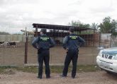 La Guardia Civil detiene a los presuntos autores de dos hurtos en fincas ganaderas