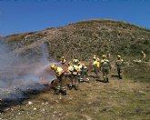 Unos cien especialistas participan en Cieza en un ejercicio práctico para mejorar las técnicas de extinción de incendios forestales
