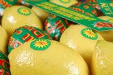 ASAJA Murcia demanda una marca de calidad para el limón de España que 