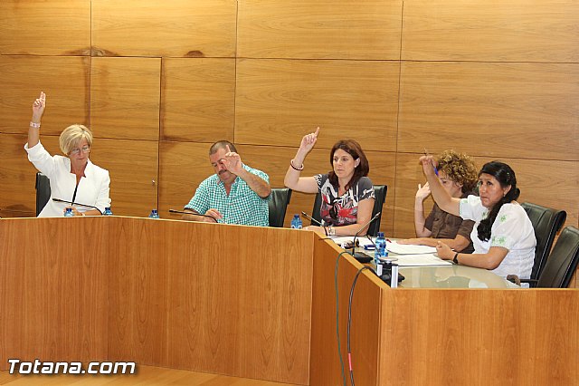 El Pleno acuerda expresar su total rechazo al proyecto de reforma de la Ley de Demarcacin y Planta judicial - 15
