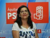 El PSOE pide la ampliación de la partida presupuestaria para la adquisición de libros de texto