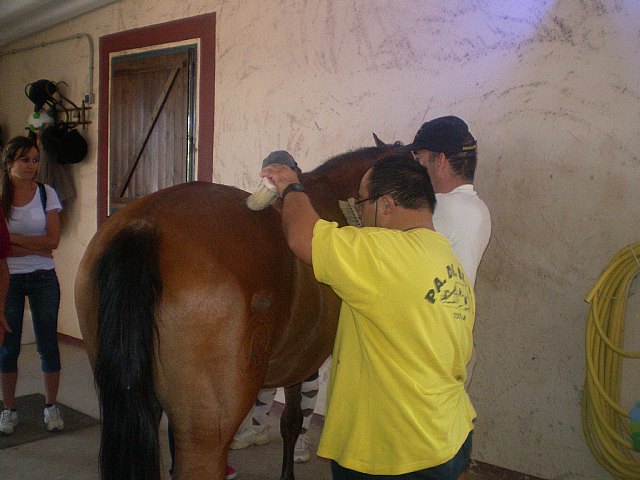 PADISITO visita un centro de terapias ecuestres en Alhama de Murcia - 3