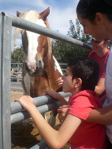 PADISITO visita un centro de terapias ecuestres en Alhama de Murcia - 7