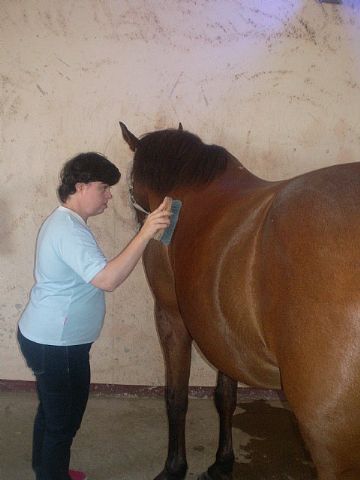 PADISITO visita un centro de terapias ecuestres en Alhama de Murcia - 8