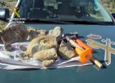 La Guardia Civil sorprende a dos furtivos cuando extraían fósiles de caracolas en Inazares-Moratalla