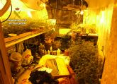 La Guardia Civil desmantela un laboratorio clandestino de producción marihuana en Águilas