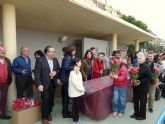 El Ayuntamiento de Molina de Segura y la empresa de servicios Sercomosa reparten unas 4.000 macetas con flores de Pascua