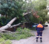 Protección Civil realiza varios servicios a consecuencia del temporal de lluvia y viento en el municipio
