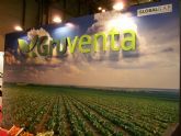 GRUVENTA resalta que 2013 ha sido un año marcado por la internacionalización hortofrutícola y por la calidad de los productos agroalimentarios murcianos
