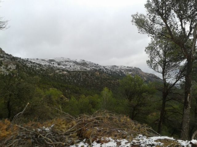 Caen las primeras nieves del 2014 en Sierra Espuña - 2