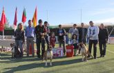 El IV Concurso Nacional Canino exhibe más de 400 ejemplares de más de 50 razas caninas en Puerto Lumbreras