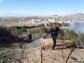 Sofocado un incendio de pinada y matorral bajo en San Julián