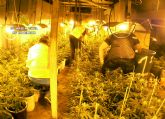 La Guardia Civil desarticula un grupo delictivo dedicado al cultivo y tráfico de marihuana en Murcia