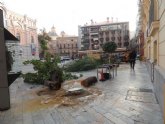 El Grupo Socialista pide explicaciones por la tala de moreras en la Plaza del Romea
