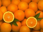 ASAJA Murcia preocupada por el hundimiento de precios de la naranja y exige una autoregulación de la oferta
