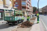 Las obras en la Avenida Doctor Meca mejoran el acceso a Puerto de Mazarrón